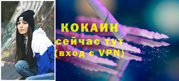 сатива Баксан