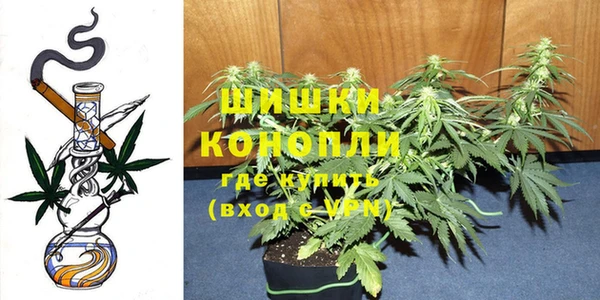 трава Балахна