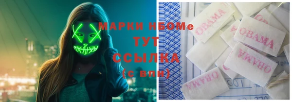 сатива Баксан