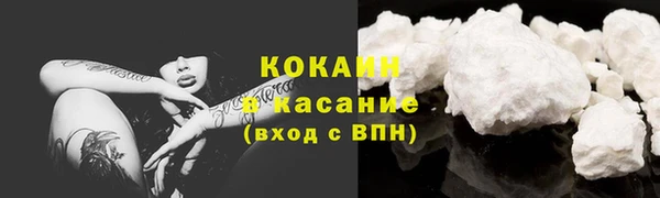 сатива Баксан
