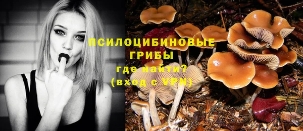 гашик Беломорск