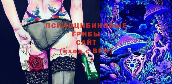 гашик Беломорск