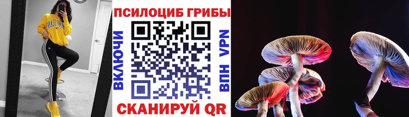 OMG сайт  Мариинский Посад  Галлюциногенные грибы ЛСД 